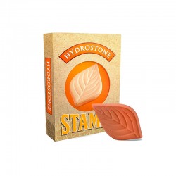 Stamps Van Haasen Piedra...