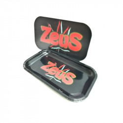 Bandeja Metal Con  Tapa 27x16