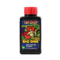 Top Crop Big One 100ML...