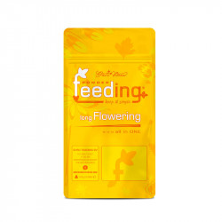GH Feeding Long Flowering...
