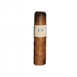 Cigarro Hermes Petit Robusto