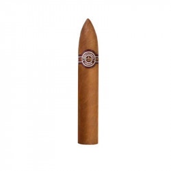 Montecristo Petit N°2 x10