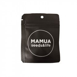 Mamua Seeds x4
